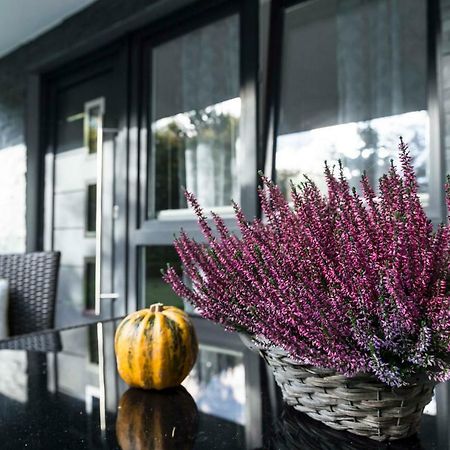 Ferienwohnung Saalhausen Sauerland เลนเนชตัดท์ ภายนอก รูปภาพ