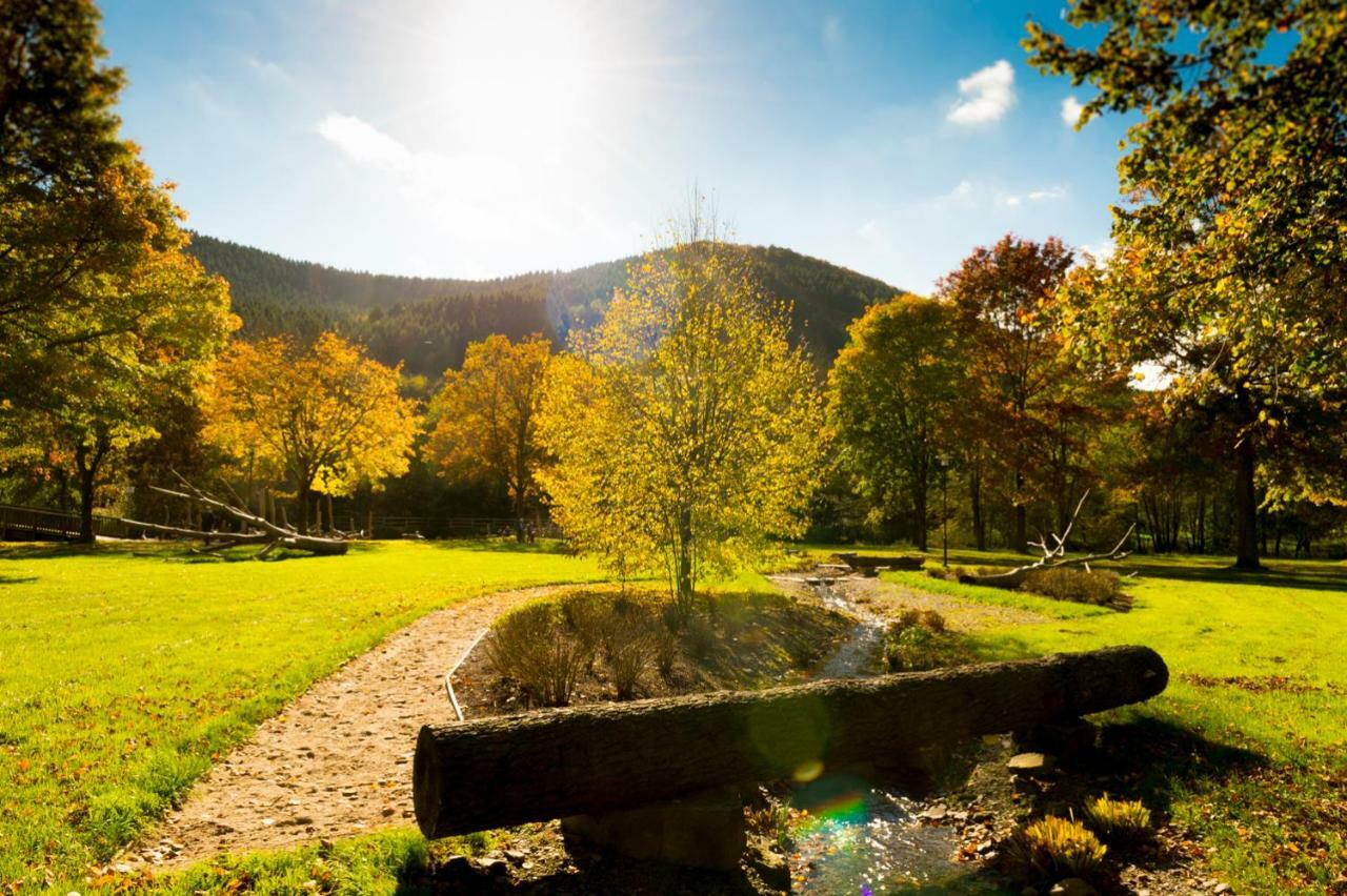 Ferienwohnung Saalhausen Sauerland เลนเนชตัดท์ ภายนอก รูปภาพ